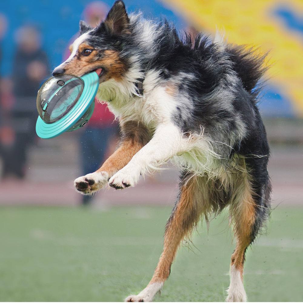 Dog Interactive Food Ball