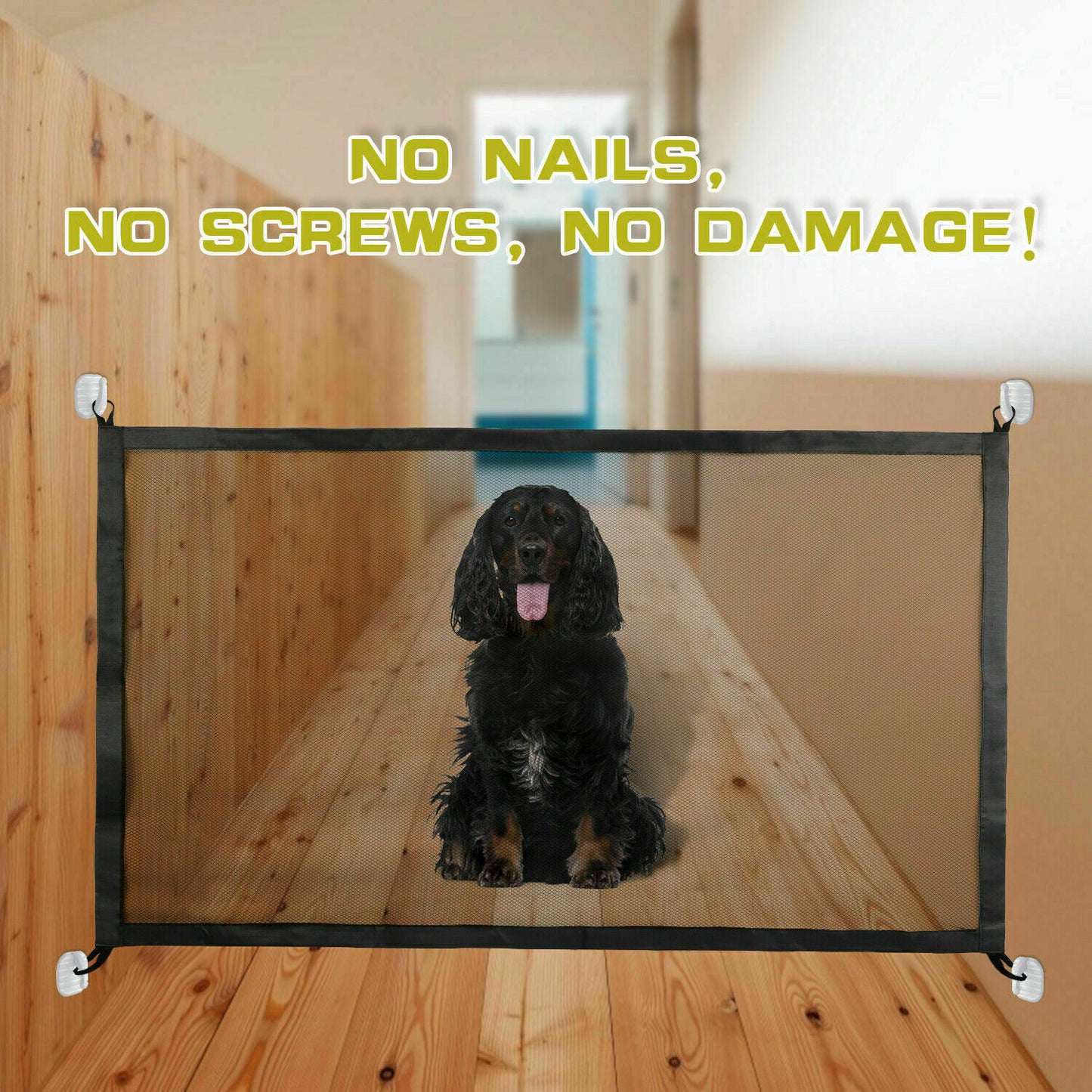 Dog Safety Net